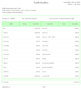 ตัวอย่าง สลิปเงินเดือน ( Pay Slip )